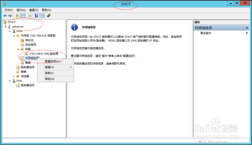 Windows Server 2012配置DHCP IPv4作用域选项
