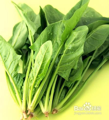 怎样做菠菜粥？