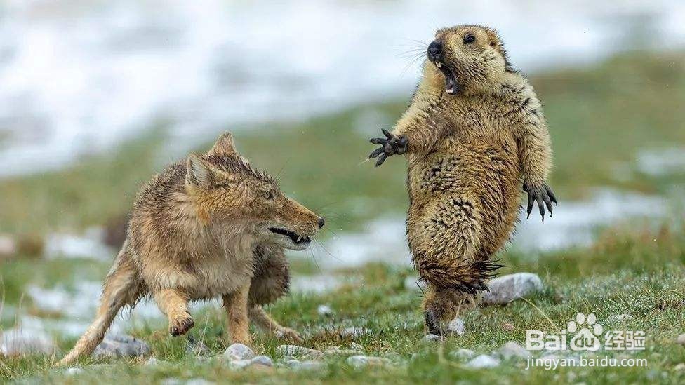 如何预防新型肺炎