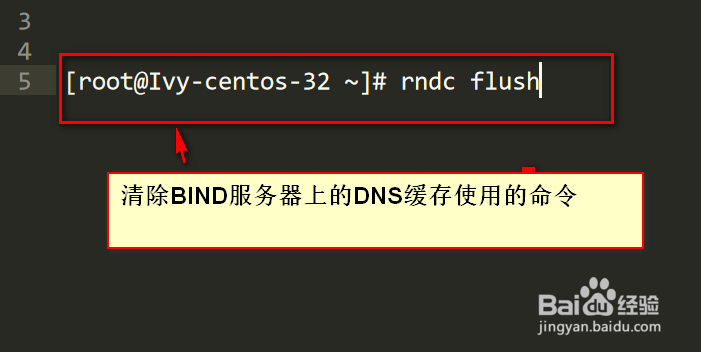 Linux中bind文件里面的记录怎么复制