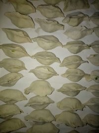 私房小厨教你包饺子，简单又美味。