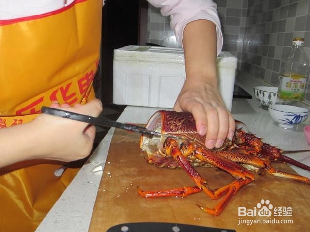 澳洲龙虾料理