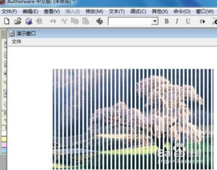 Authorware图片如何设置垂直百叶窗式特效步骤