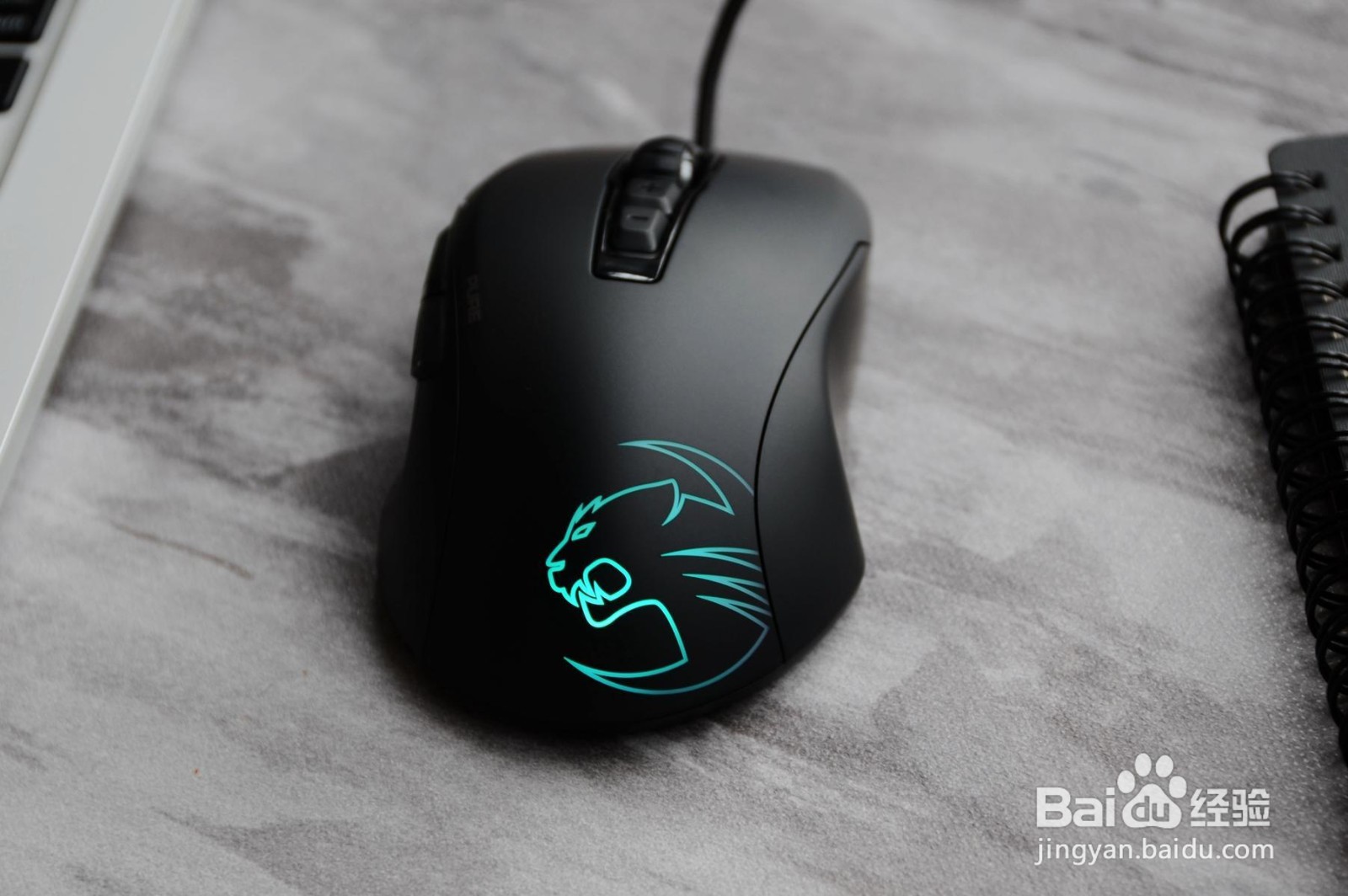 鼠标不动了怎么办