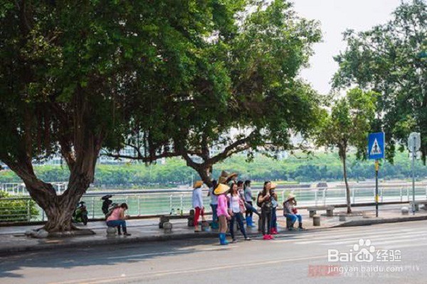 2016年度美食盛宴
