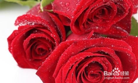 情人节单身狗该如何度过？