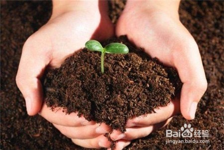 喝三七粉有什么好处,不知道点击查看