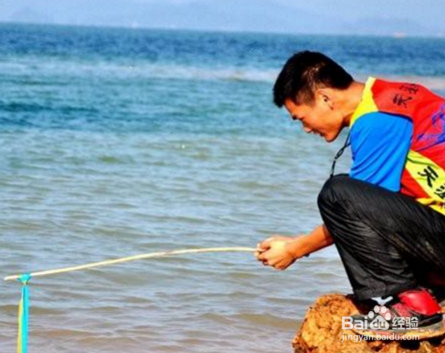 钓鱼哪个环结最重要？钓鱼饵料渔具线组窝料