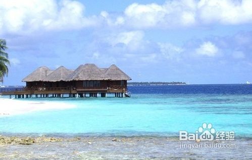 分享马尔代夫旅游班度士岛旅游项目旅游经验