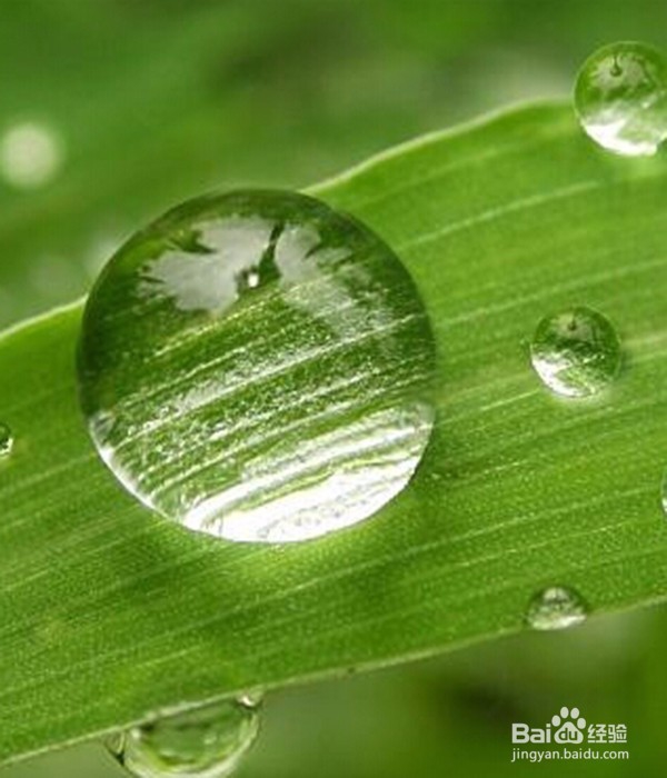 白乳胶的使用方法之如何使纸张不皱缩？