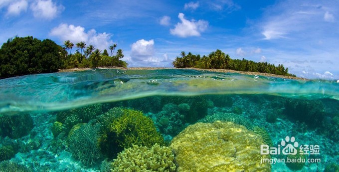 2017泰国海岛游攻略
