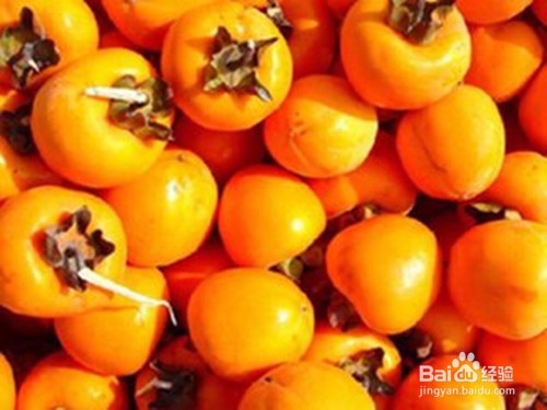 柿子有哪些营养？