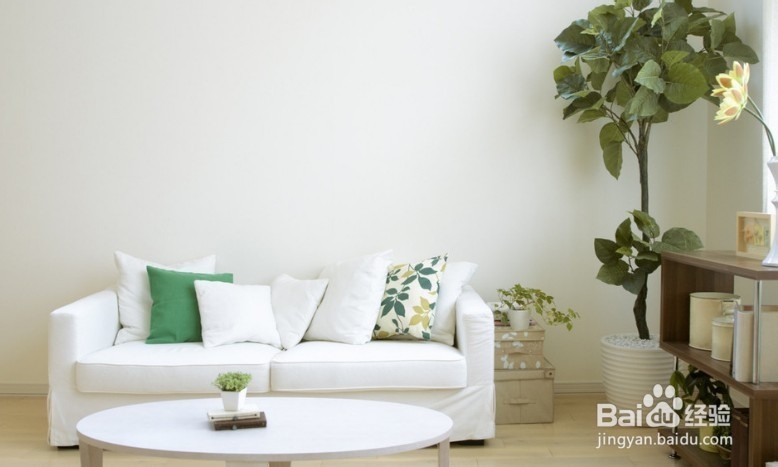 19小步就让你家变成这么的干净