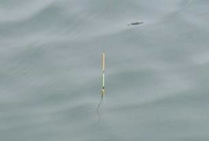 新手调漂最简单方法