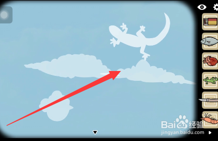 轮回的房间鸟怎么点