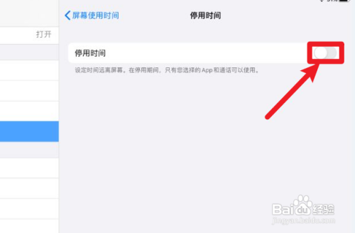 ipad如何关闭停用时间