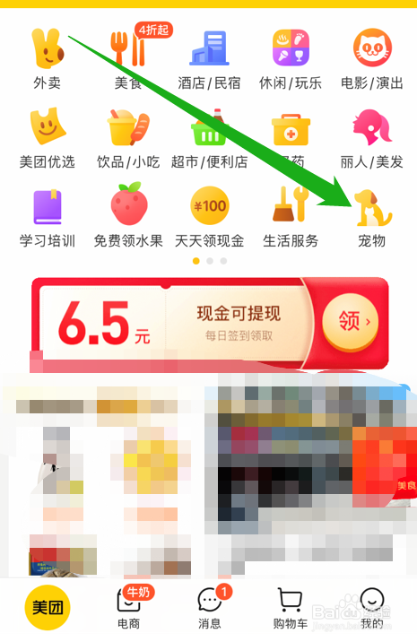 狗狗拉血便怎么办