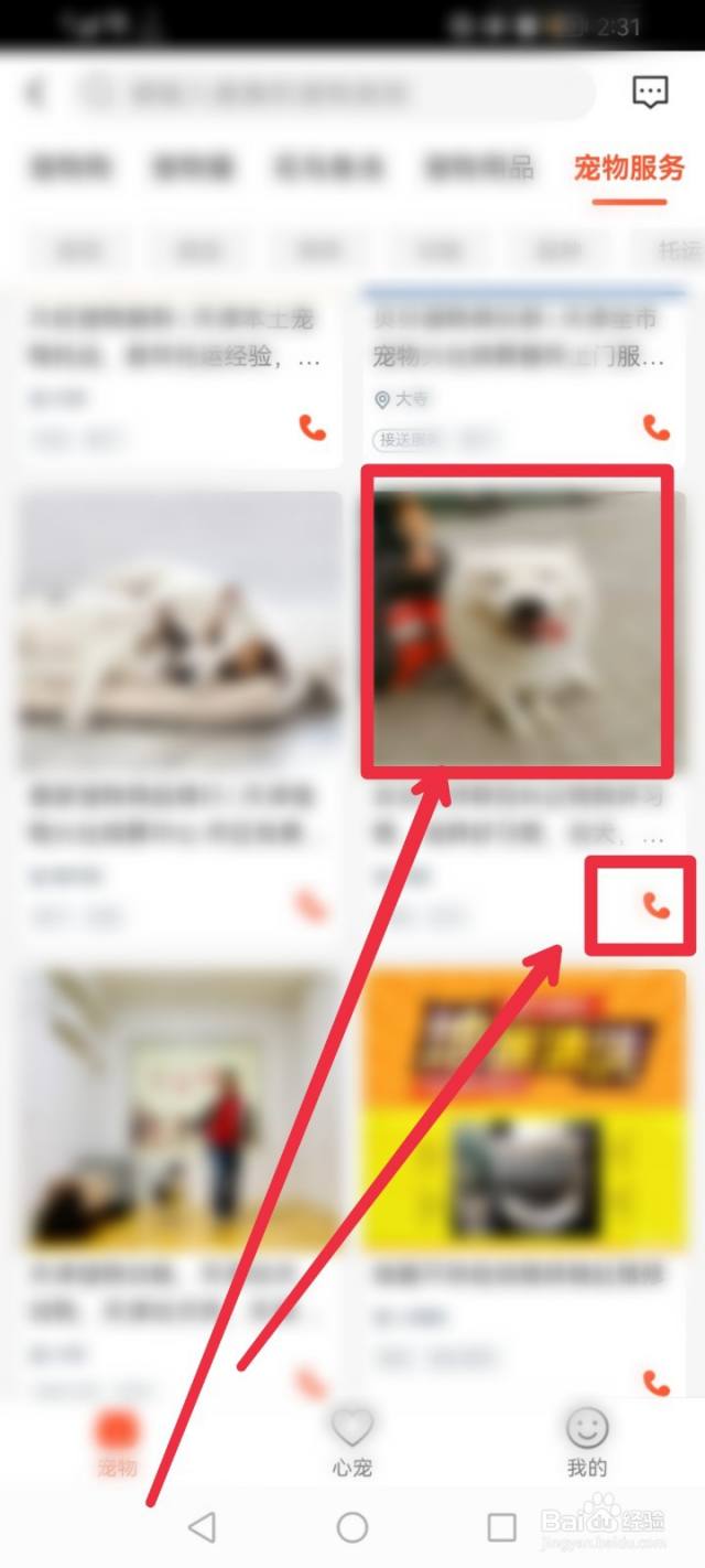 在58同城APP怎么查找宠物服务信息？[图]