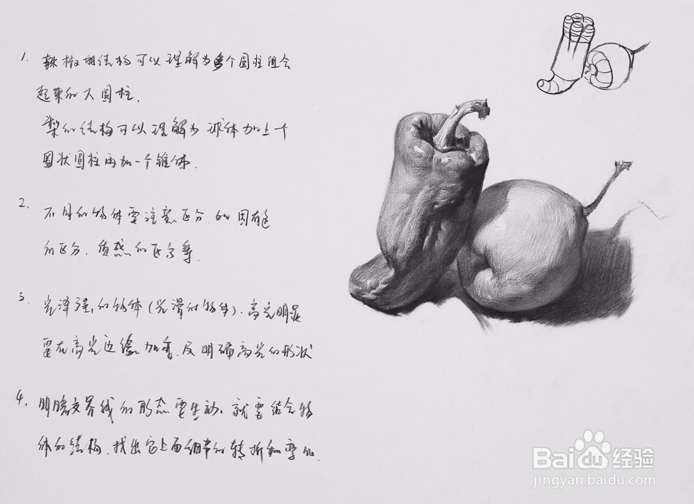 广州厘米画室：单个塑造与质感表现