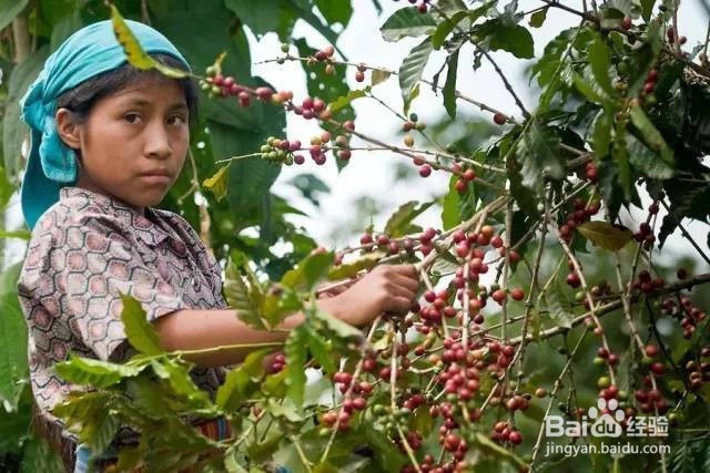 别说我没提醒你，这才是咖啡最健康的喝法