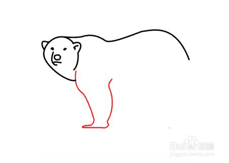 画出前腿和熊掌.