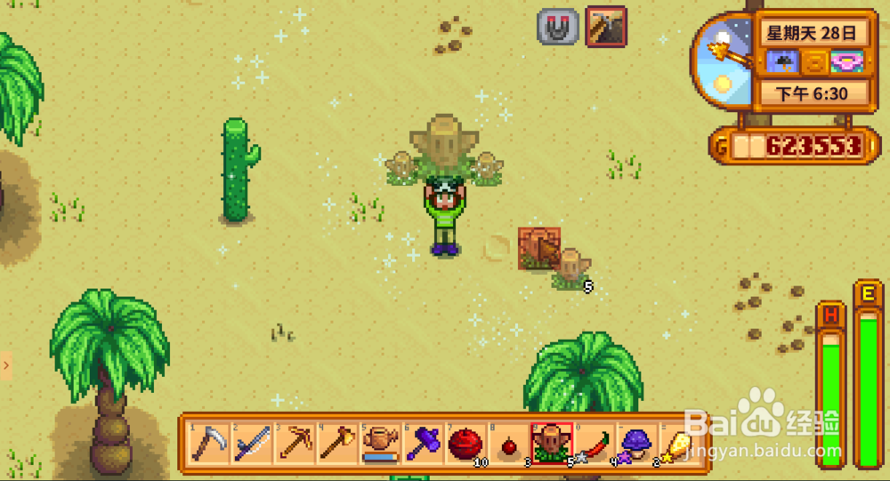 星露谷物语传送图腾怎么用 星露谷怎么传送回家