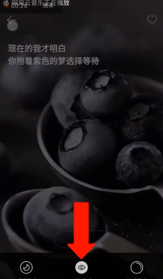 网易云音乐sati如何一键收藏歌曲