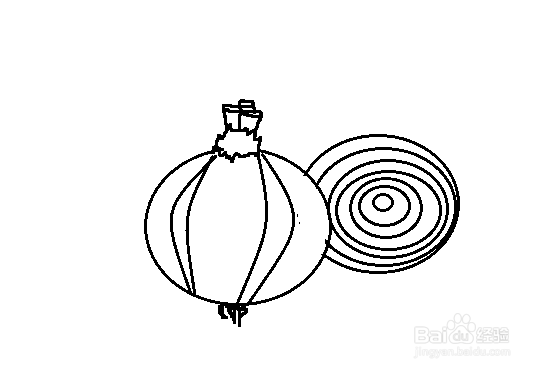 洋葱简笔画教程