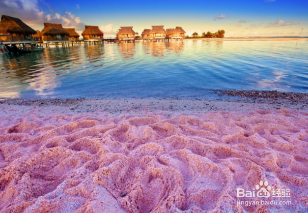 想去巴哈马旅游,有什么旅游攻略呢?