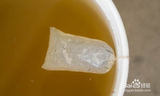 自家做的多肉肥料茶
