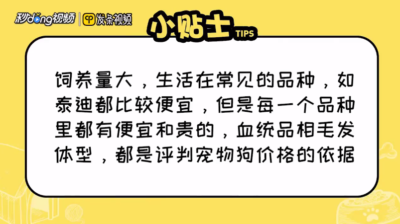 便宜的宠物狗有哪些