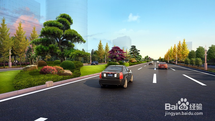 道路绿化效果图设计中的树种都有哪些分类?