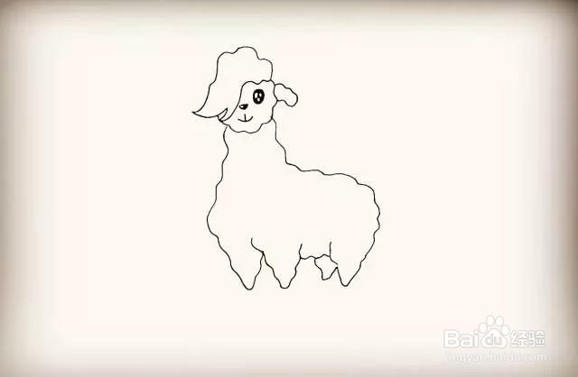 动物系列-羊驼简笔画怎么画？