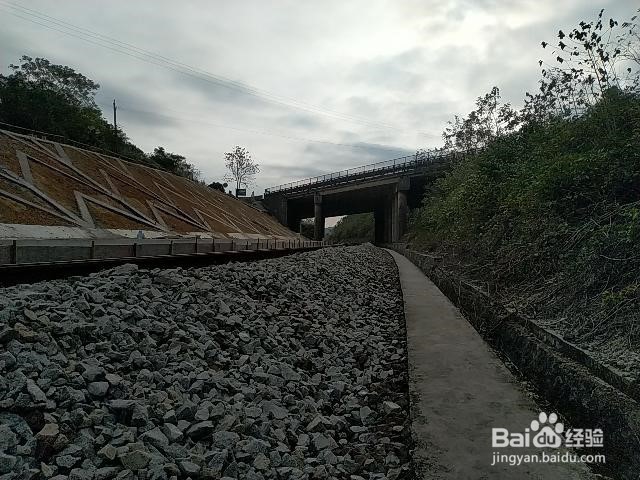 工程施工钢柱安装应符合哪些规定？