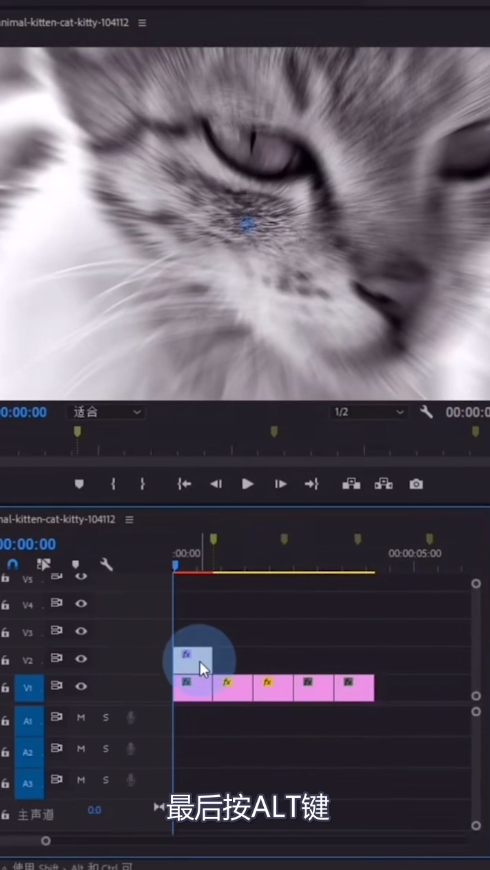 教你pr制作缩放卡点效果