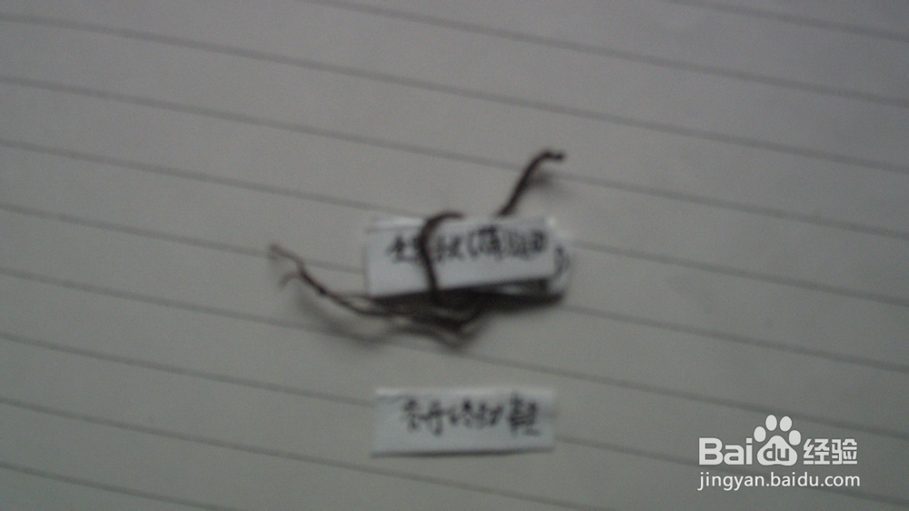 巧记鞋的摆放处