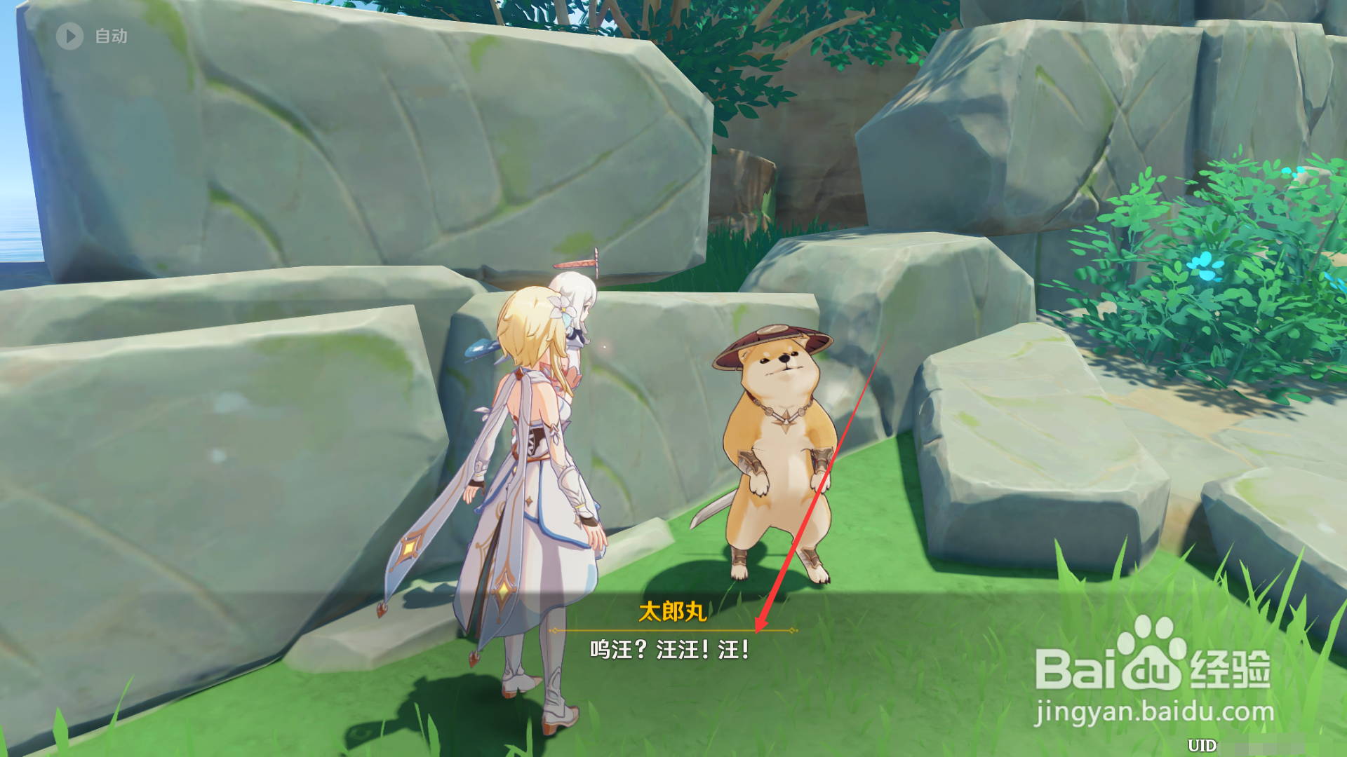 原神与太郎丸之战攻略。