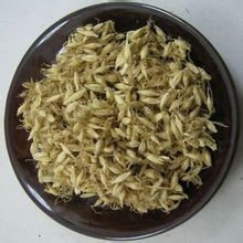 怎样断奶最健康？