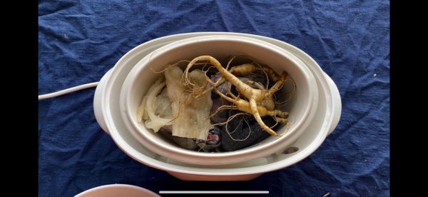 人参乌鸡花胶汤