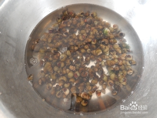 香香辣辣也鲜美:辣炒田螺