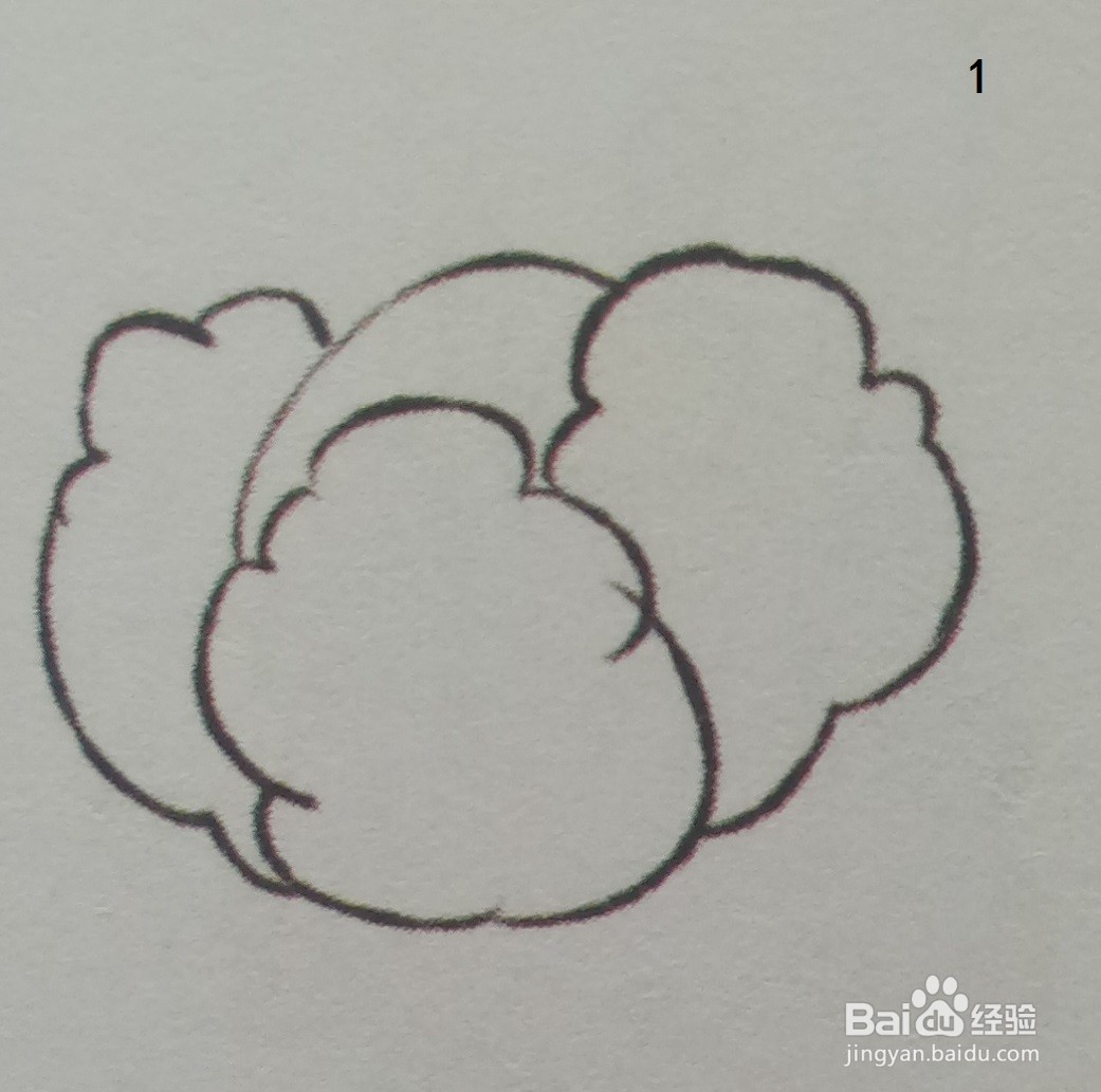 用深紫色绘制紫甘蓝的简笔画(食物篇)