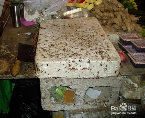 如何消灭蟑螂 如何杀死蟑螂 如何预防蟑螂生长