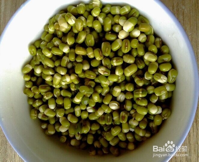 塑料瓶生绿豆芽