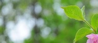 护理服务制度83