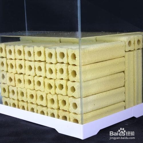养鱼用的细菌屋是什么