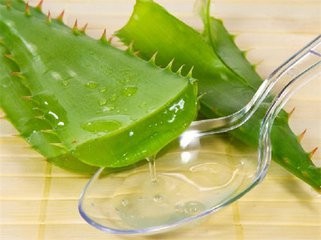 芦荟胶具体的作用原理与使用方法