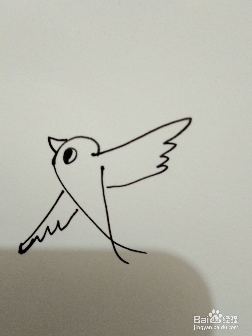 如何画简笔画的飞鸟