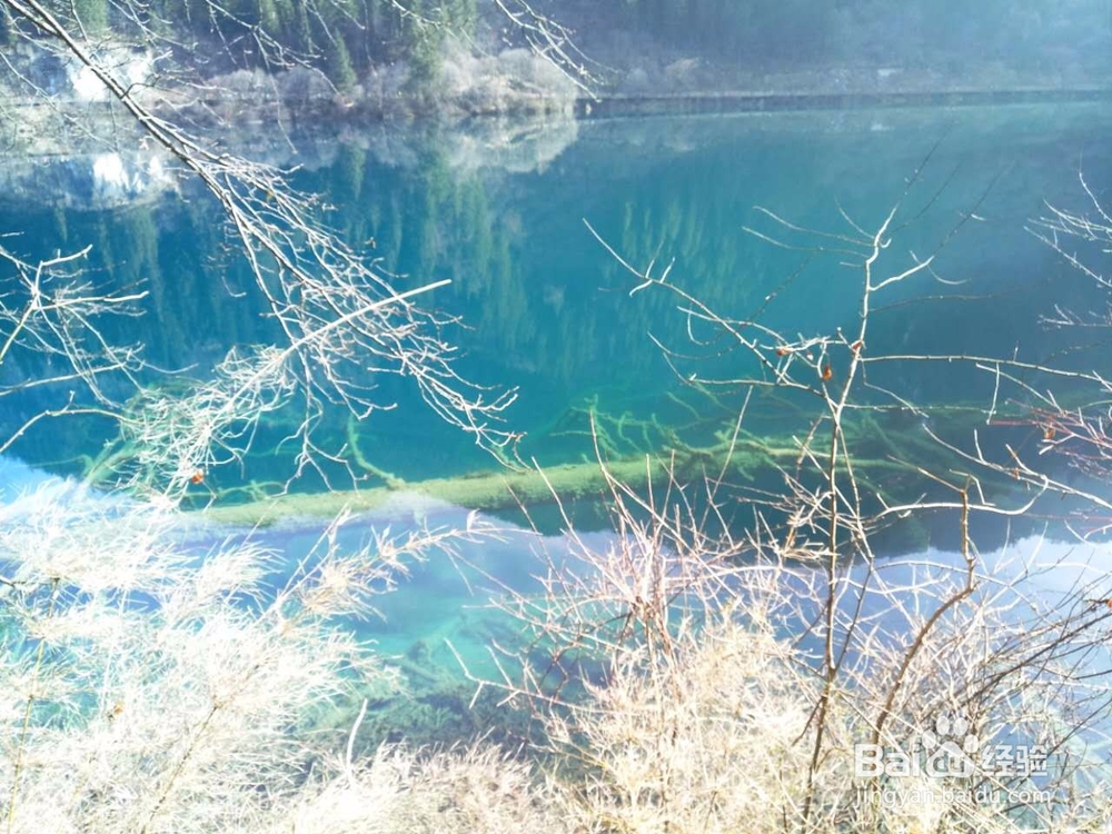 九寨沟冬季自驾游旅游攻略