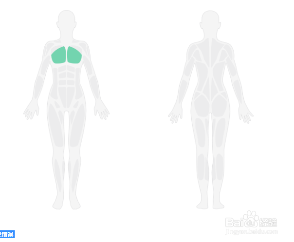 弹力绳胸部训练