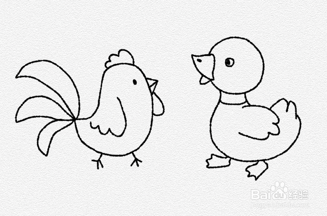 小公鸡和小鸭子怎么画